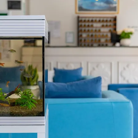 Doria קאבי די לבאניה